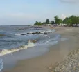 Scenic Byways-Roots and Tides Photo