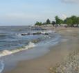 Scenic Byways-Roots and Tides Photo