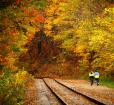 Biking along the Great Allegheny Passage Photo