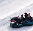 Snow Tubing Photo