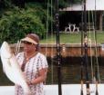 Catch of the day on Renegade Fishing Charter Photo