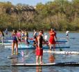 Stand Up Paddle Annapolis Photo