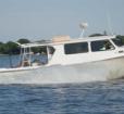 Miss Edie, Capt. Mike's Fishing Charters Photo