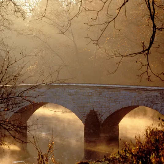 Burnside Bridge