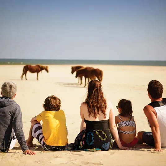 Family at the Beach Watching Wild Horses