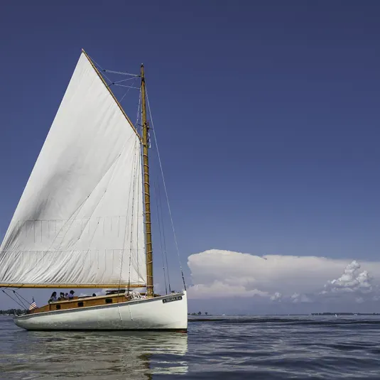 Sail Selina II Boat Tours
