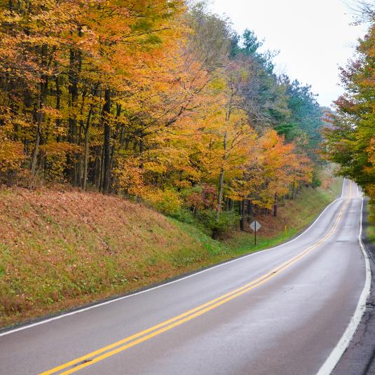 Experience the Autumn Glory Trail