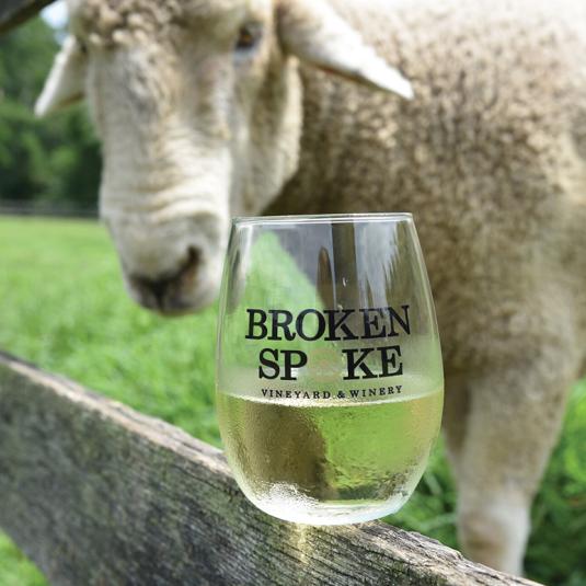 Sheep and glass of wine