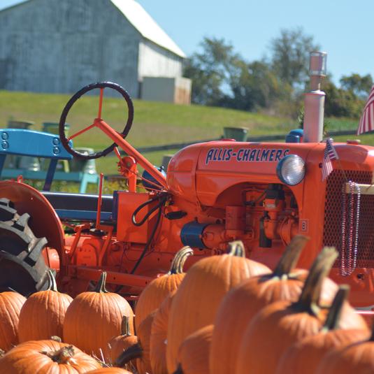 Picture of a Farm Tractor and Pumpkins.