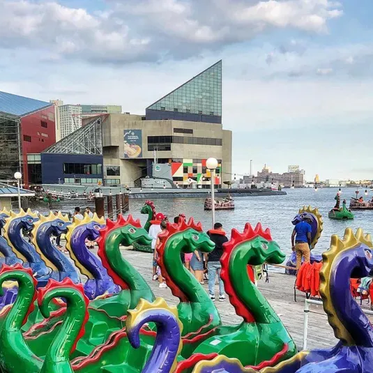 Inner Harbor Dragon Boats