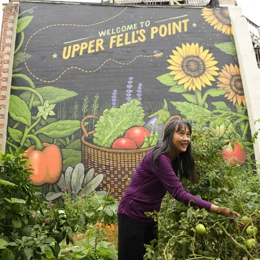 Upper Fells Point Community Garden