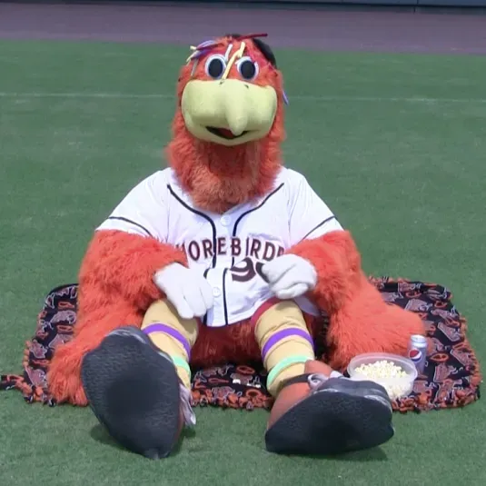 Delmarva Shorebirds Mascot