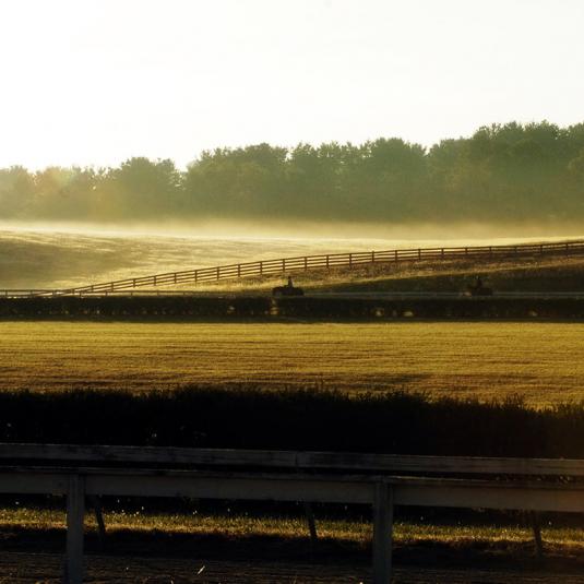 Horse Farm in golden light-Maryland Horsebreeders Association
