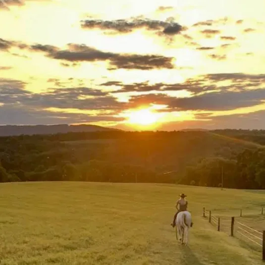 Horseback riding at Sunset