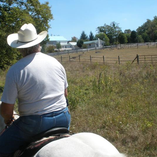 Horse rider looking over the land.