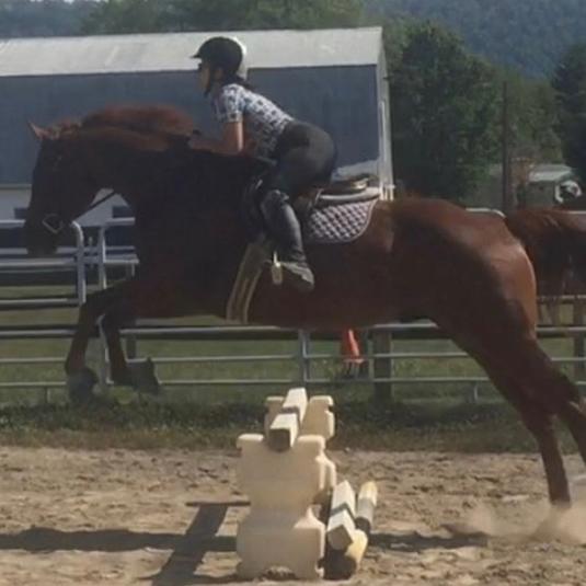 Horse with rider going over a jump