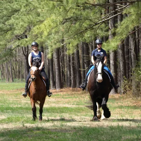Talisman Therapeutic Riding