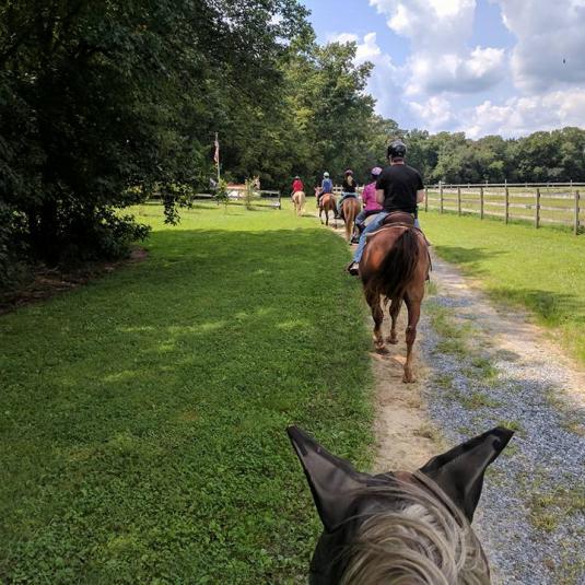 Horseback Trail Riders from Holly Ridge Farm Equestrian Center