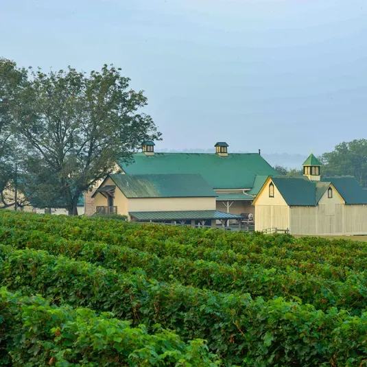 Vinyards and farm buildings