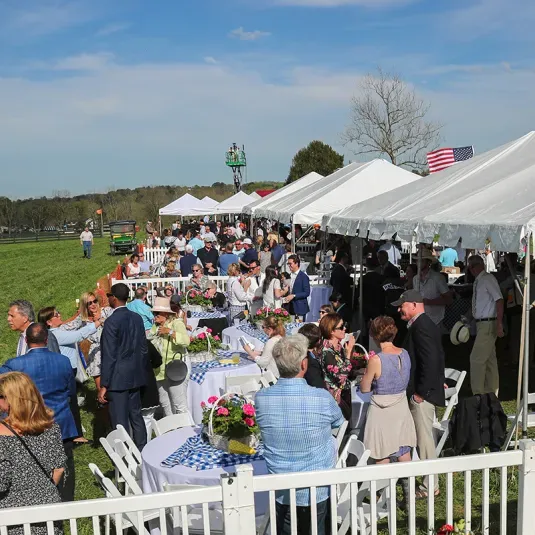 Grand National Steeplechase