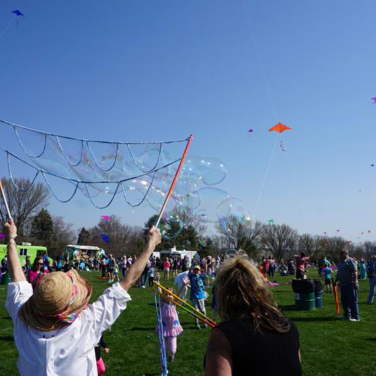outdoor kite festival