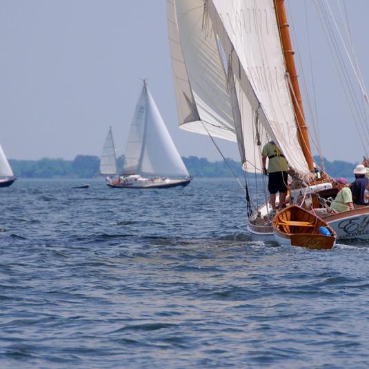 Catch a view of the Miles River to experience how sailboats gliding in the wind inspired Frederick Douglass, “This very bay shall yet bear me into freedom.”