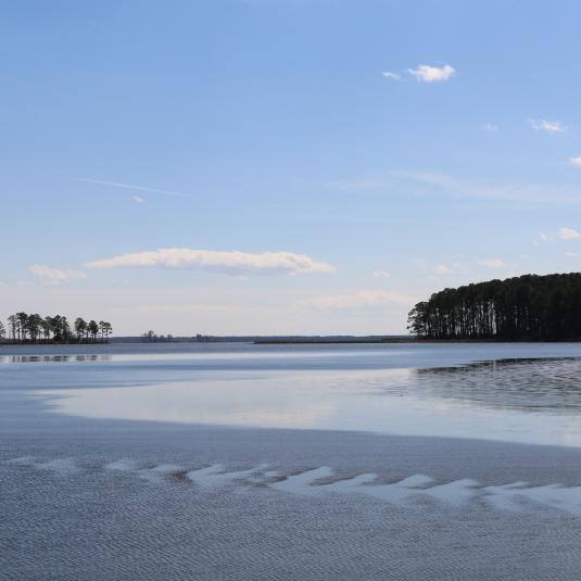 Harriet Tubman Byway