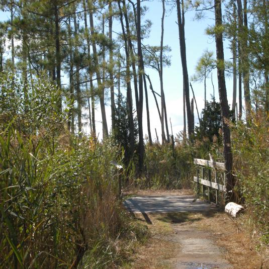 Point Lookout State Park