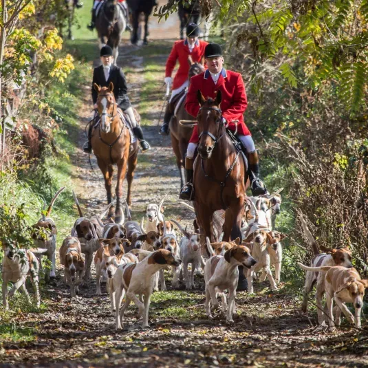 The Potomac Hunt
