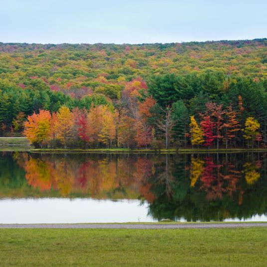 Fall Foliage at Deep Creek Lake