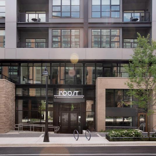 Roost Baltimore