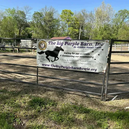 The Big Purple Barn Horse Sanctuary