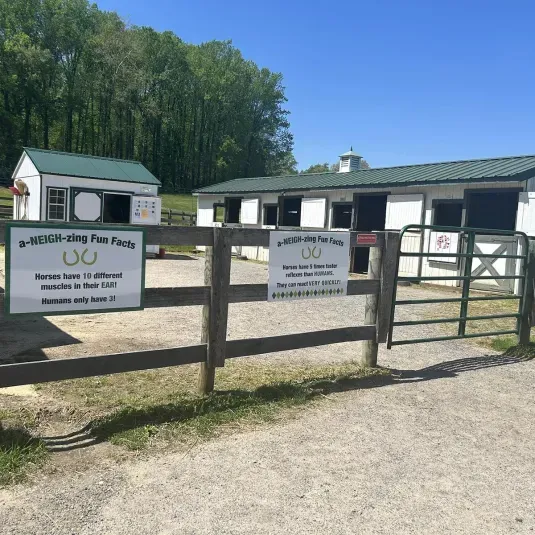 Maryland Therapeutic Riding