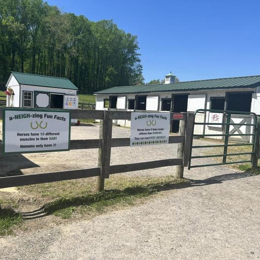Maryland Therapeutic Riding