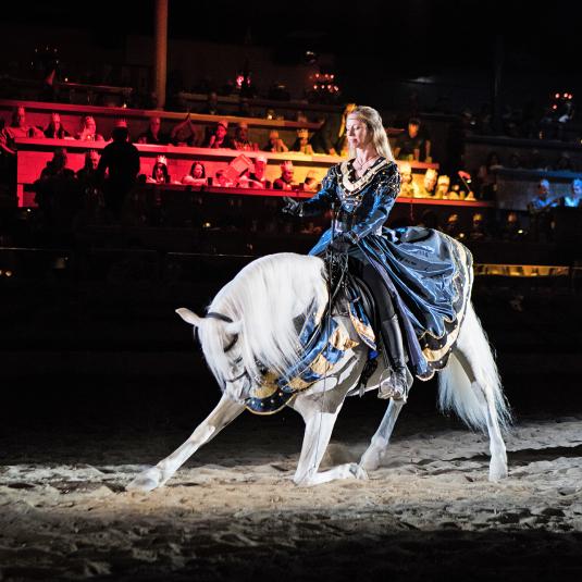 Medieval Times Dinner and Tournament