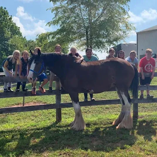 Kids admiring a horse from Good Intentions Farm