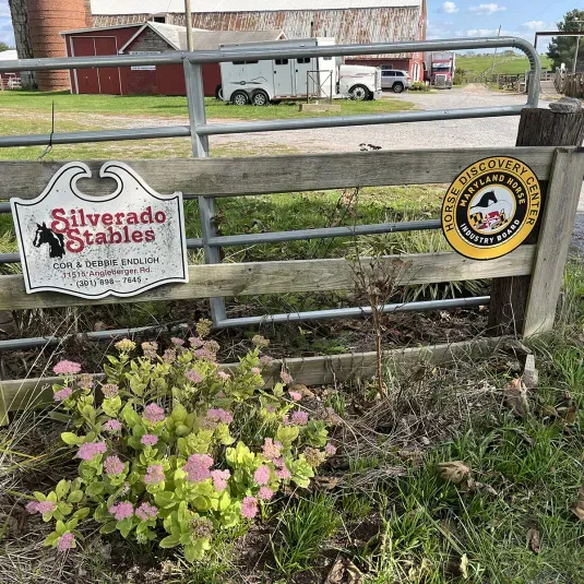 Silverado