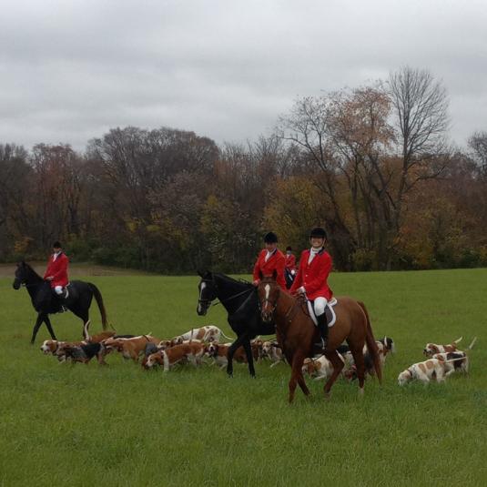 Diane Gunder from Carrollton Hounds