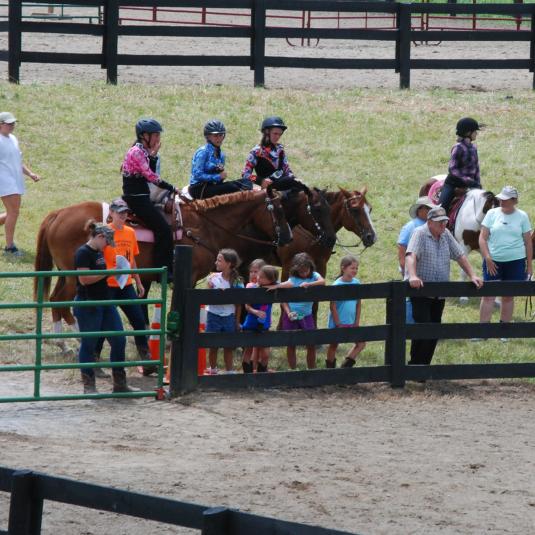 Children enjoying the horse riders at High Ridge Farm