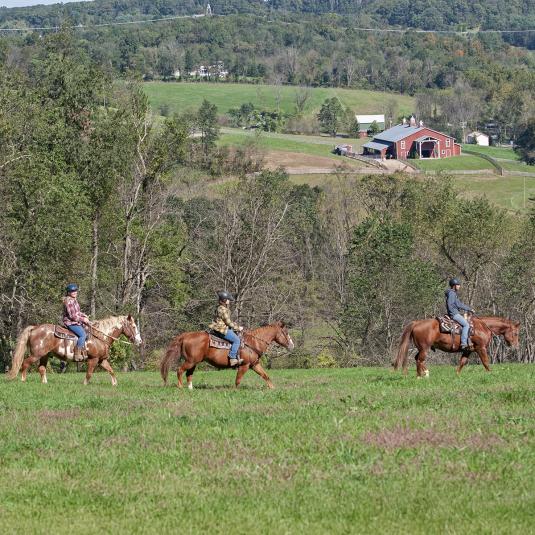 Horse riders from River Valley Ranch enjoying a day of riding through a field in the mountains in Manchester, MD.of