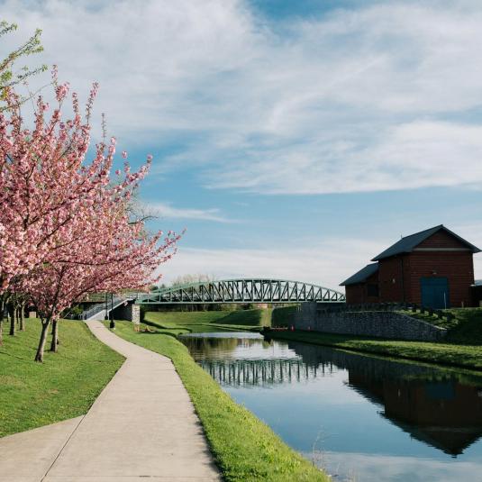 A trail along the C&amp;O Canal