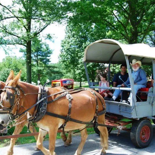 Wagon rides are offered at the Carroll County Farm Museum during special events.