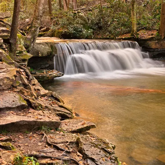 The 1 1/4-mile trail through Swallow Falls State Park guides hikers through shaded rocky gorges with some of the most breath-taking scenery in Western Maryland.