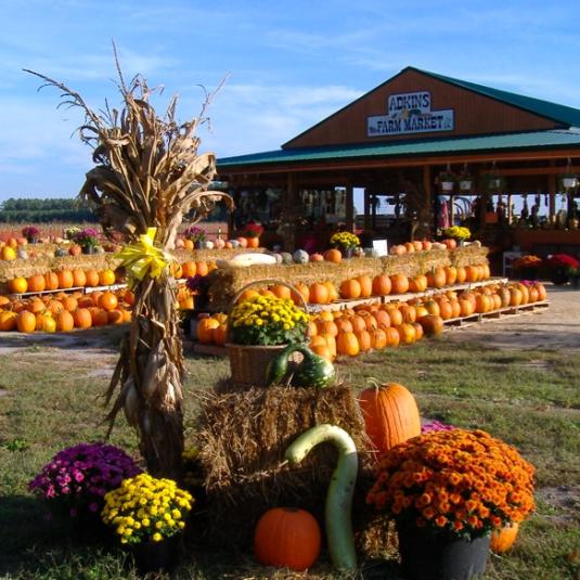 Adkins Farm Market - Salisbury