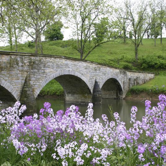 This now scenic bridge over Antietam Creek was once the site of intense fighting. Confederate soldiers held the area overlooking the bridge until Union General Ambrose Burnside's command captured the bridge and crossed the creek.