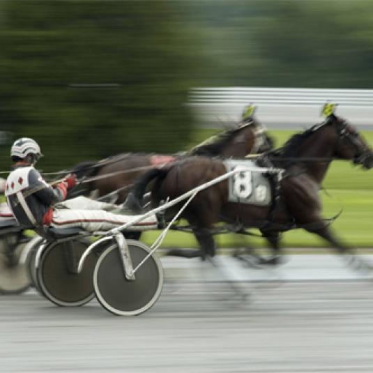harness racing track