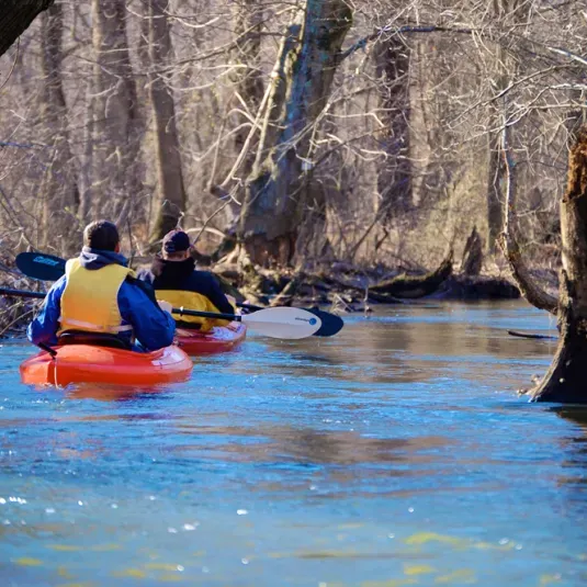 Paddle the Tuckahoe Creek