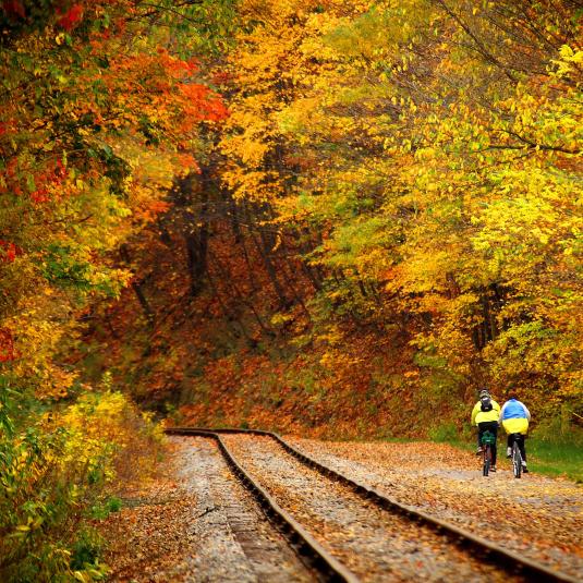 Bike Trail and Tracks of Maryland