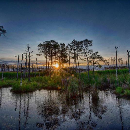 Blackwater National Wildlife Refuge at Sunrise
