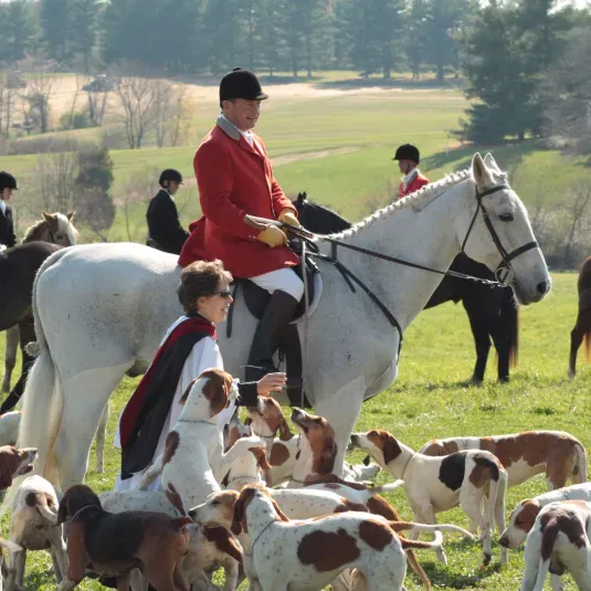 Goshen Opening Hunt, Blessing the Hounds